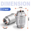 Bwintech 1 x check valve, 1 inch BSP female thread,