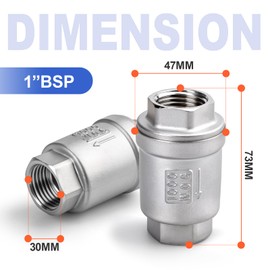 Bwintech 1 x check valve, 1 inch BSP female thread, stainless steel, 304 vertical inline check valve with spring, backflow prevention