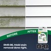 RMR-86 Instant Mold Stain and Mildew Stain Remover Spray -