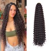 FEILIMEI Ocean Wave Crochet Hair Extensions 24Inch 2Packs #4 Chocolate