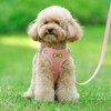 MiOYOOW Velvet Dog Harness, Comfortable Adjustable Chest Harness Sets with