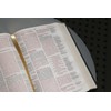 ESV, Thompson Chain-Reference Bible, Leathersoft, Gray, Red Letter