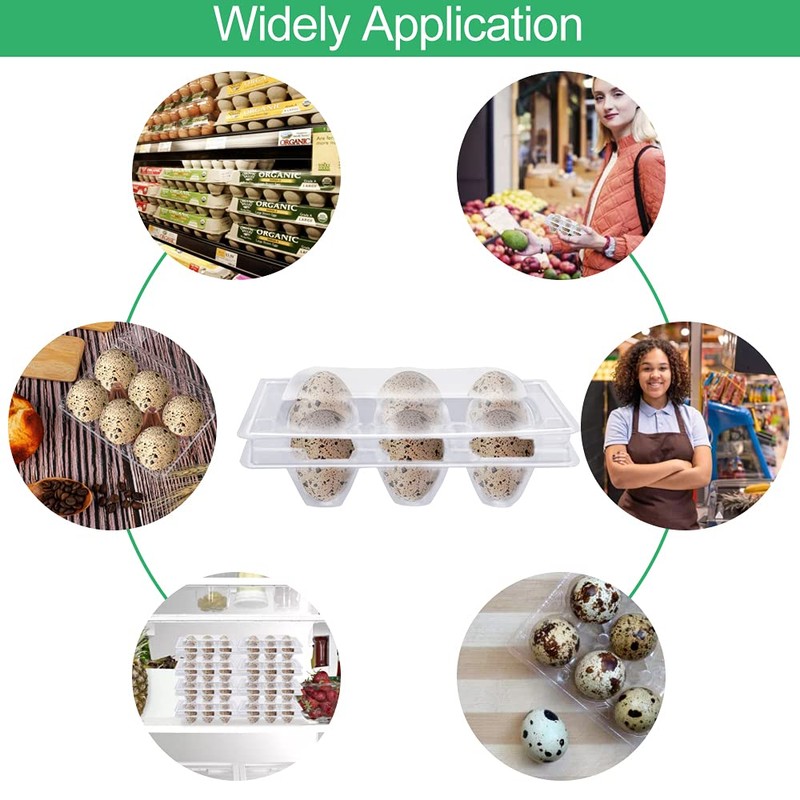 FIGFYOU Pack of 50 Quail Egg Boxes, Egg Boxes, Quail,