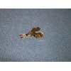 Walco STYLUS NEEDLE 754-DS13 for MAGNAVOX Admiral 754-DS13 Shure MI-44