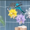 OKONOS Interactive Parrot Foraging Toy Hanging Bird Cage Toy for