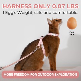 Sovarin Cat Harness and Leash Set - Pink Lightweight Soft Kitten Harness Escape Proof, Adjustable Travel Pet Harness for Walking，Easy Control Comfortable Outdoor (Pink, One Size Fits All)