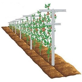MRGARDEN 7-Feet Grape Vine Trellis, Heavy Duty 2pcs Set for Raspberry and Climbing Plants, Outdoor Stake Vineyard Trellis, 2 Tall Trellises