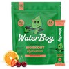 Waterboy- Hidratación de entrenamiento Paquetes de Polvo de Electrolitos Sin