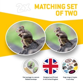 Awesome Vinyl Stickers (Set of 2) 20cm - Baby Baboon Animal Monkey Fun Decals for Laptops,Tablets,Luggage,Scrap Booking,Fridges #12481