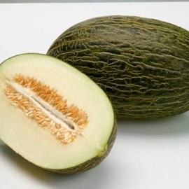 Heirloom Melon Seeds “Early Valencia” - Long Storage and Fast to Ripen “Winter Honeydew” or "Spanish Melon" | Heirloom Seeds by Liliana's Garden |