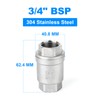 ERGAOBOY 3/4" BSP Female x Female Thread, 304 Cast Check