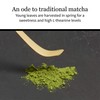 DoMatcha - Ceremonial Green Tea Matcha Powder, Travel Friendly, Natural