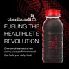 Cheribundi Cheribundi PURE Tart Cherry Juice - 100% Tart Cherry Juice, No Sugar Added - Pro Athlete Post Workout Recovery - Fight Inflammation And Support Muscle Recovery - 8 Ounce (Pack of 24)