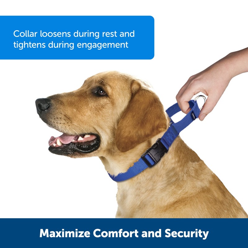 PetSafe Martingale Collar con Hebilla de Cierre rápido, 1 Pulgada,