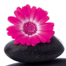 Eurographics Deco DG-DT2083 Glass Picture 20 x 20 cm Energy