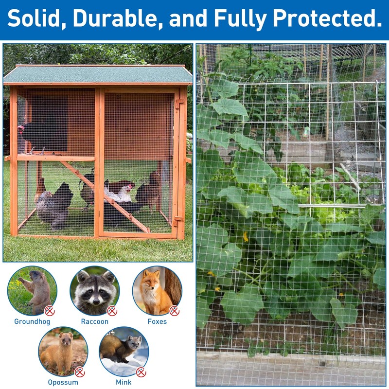 Hardware Cloth,Chicken Wire Fence,1/2 inch 15.7in x 6ft Galvanized Welded