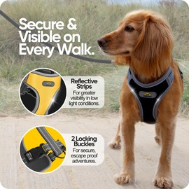 Dawn Dog XL Dog Harness with Secure Locking Clip | Soft & Padded Y Shaped Design with Anti Choke Fit | Extra Reflective for Greater Visibility & Safety | Escape Proof, Adjustable, Lightweight