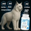 Creatina Glutamina Linx Fit 1kg 50 Servicios Varios Sabor