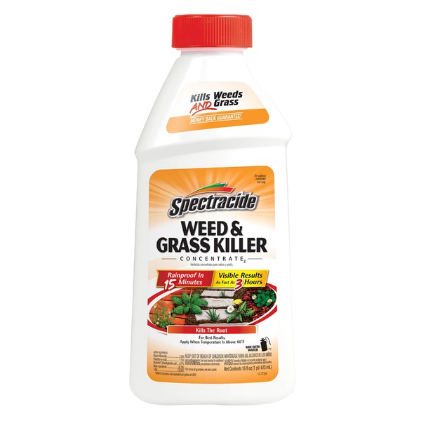 Spectracide Weed & Grass Killer Concentrate2, 16-Ounce, 6-Pack