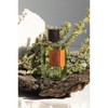 (Goldfield & Banks) Wood Infusion 10ml / (골드필드 앤 뱅크스)