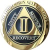 2 Year AA Medallion Elegant Black Gold Silver Plated Bi-Plate