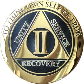 2 Year AA Medallion Elegant Black Gold Silver Plated Bi-Plate Sobriety Chip