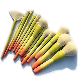 Pro Gradient Color 14pcs Juego de Brochas de Maquillaje Polvo Cosmético Suave Base de Maquillaje Sombra de Ojos Rubor Kit de Brochas de Maquillaje Herramientas de Maquillaje