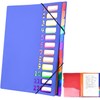 Delamiya Document Folder A4, Portable Expanding Folder with 12 Compartments,