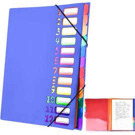 Delamiya Document Folder A4, Portable Expanding Folder with 12 Compartments, PP Plastic Organiser Folder with Elastic Band, Waterproof, for School Office Supplies