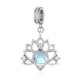 Peireara Sobriety Gifts for Women 925 Sterling Silver Alcoholics Anonymous Charms for Bracelet AA Recovery Symbol Alcoholics Anonymous Gifts for Women