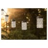 Allen + Roth Charming String Light LED Fairy Bulb Indoor/Outdoor