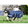 Rhinegold Waterproof Dog Coat Navy Blue 40cm