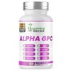 Humming Herbs Alpha GPC Complex 11-in-1 – Alpha-GPC, Lion’s Mane,