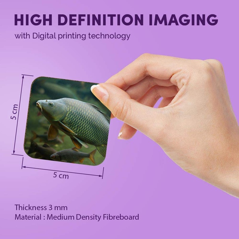 1 x Square MDF Fridge Magnet - Wild Common Carp