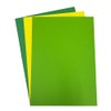DJP Assorted Yellow & Green Coloured A4 160 GSM Card