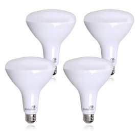 Bioluz 4 Pack Brightest BR40 LED Light Bulb - 90 CRI Instant ON Warm White 2700K Light Bulbs 16W 1400 Lumen Indoor & Outdoor Lighting Smooth Dimmable Lightbulb UL Listed Title 20 Compliant