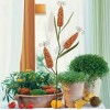 ATT Metal Corn Stake Autumn Harvest Decoration- Decorative Yard Lawn