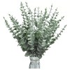 Baixi 24 Piezas Tallos De Eucalipto Decoración Hojas Artificiales