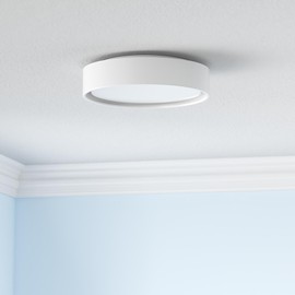 VICNIE LED Flush Mount Ceiling Light, 14 Inch Dimmable Round Lighting Fixture, 20W 1400 Lumens 3000K Warm White, ETL Listed for Kitchen, Hallway, Bedroom, Stairways (Metal Body and Acrylic Shade)