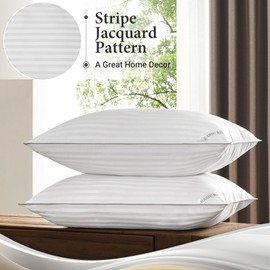 Basic Beyond Queen Size Pillows Set of 2 - Soft 20 x 28 Inches Down Alternative Pillows Queen Size Set of 2 for Back, Stomach or Side Sleepers
