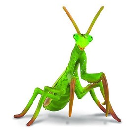 CollectA CollectA Praying Mantis by CollectA