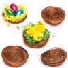 Baker Ross Mini-Vogelnester für flauschige Küken und Osterdekorationen (15 Stück)