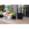 Capi Europe - Pot Cylinder Groove Black & Gold -