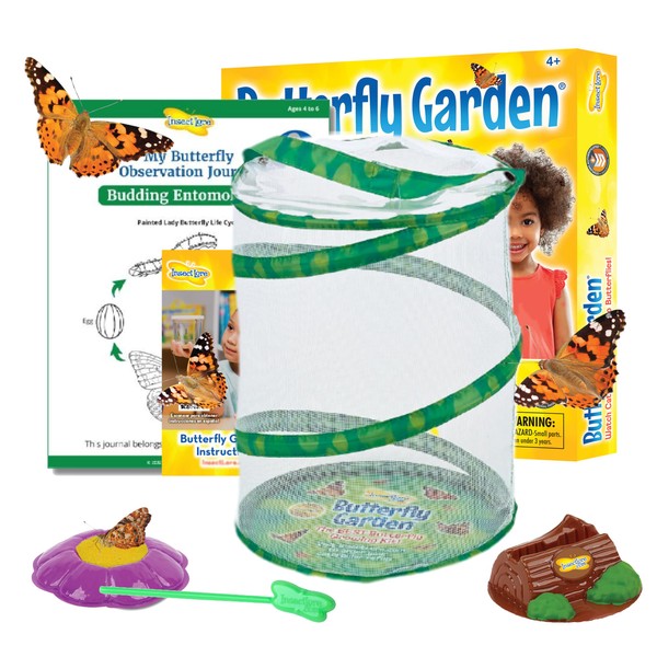 Insect Lore Raise and Release Butterfly Garden Kit – Caterpillar