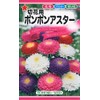 Tohawk Corporation 00090 Pom Pom Aster for Cutting Flowers