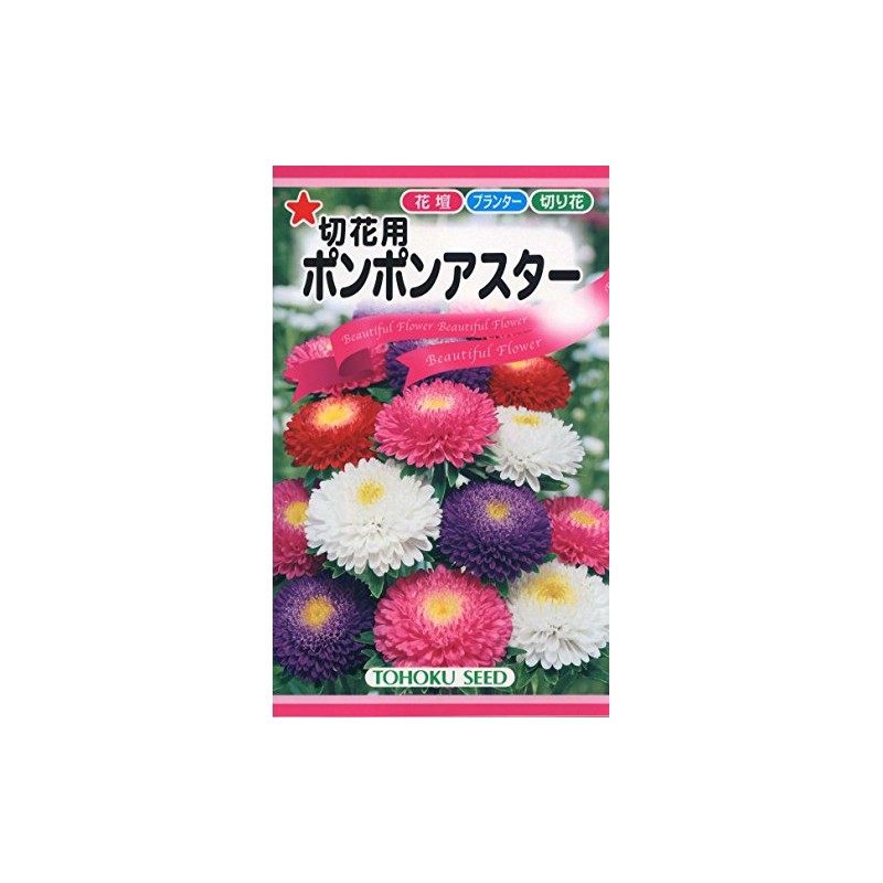 Tohawk Corporation 00090 Pom Pom Aster for Cutting Flowers