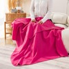 CAI TENG Fleece Throw Blanket Blankets for Couch Bed 50x60