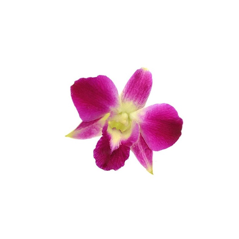 Fresh Loose Purple Dendrobium Orchid Blossoms 50 ct.
