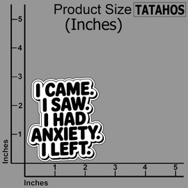 (3Pcs) I Came I Saw I Had Anxiety I Left Sticker - Funny Anxiety Quote Vinyl Decals – Waterproof and Durable for Laptop, Phone, Water Bottle, Journal – Mental Health Humor Gifts 3"x2.7"