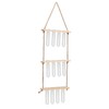 3 Tiered Wall Hanging Plant Terrarium with 12 Test Tubes